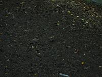 S6000039 800x600