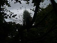 S6000040 800x600