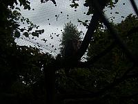 S6000041 800x600