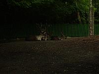 S6000042 800x600