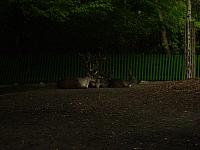 S6000043 800x600
