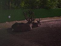 S6000046 800x600