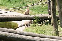 20090627 371 800x533
