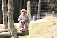 20090627 422 800x533