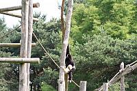 20090627 530 800x533