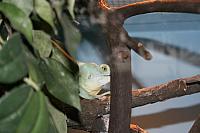 blijdorp 10-09 002 800x533