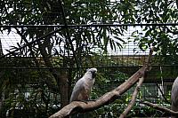 blijdorp 10-09 004 800x533