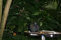blijdorp 10-09 006 800x533