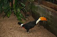 blijdorp 10-09 010 800x533