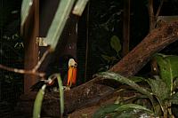 blijdorp 10-09 012 800x533