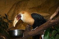 blijdorp 10-09 021 800x533