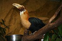blijdorp 10-09 022 800x533