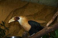 blijdorp 10-09 023 800x533