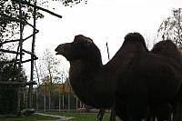 blijdorp 10-09 025 800x533