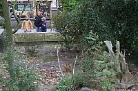 blijdorp 10-09 030 800x533