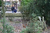blijdorp 10-09 031 800x533