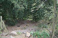 blijdorp 10-09 032 800x533