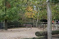 blijdorp 10-09 035 800x533