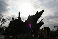 blijdorp 10-09 047 800x533