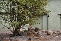 blijdorp 10-09 076 800x533