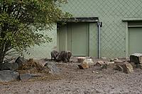 blijdorp 10-09 077 800x533