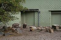 blijdorp 10-09 078 800x533