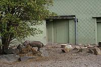 blijdorp 10-09 079 800x533