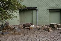 blijdorp 10-09 080 800x533