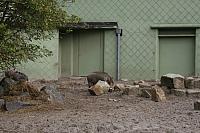 blijdorp 10-09 081 800x533