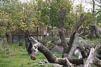 blijdorp 10-09 082 800x533