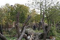 blijdorp 10-09 083 800x533