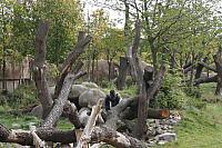 blijdorp 10-09 087 800x533