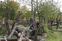blijdorp 10-09 and extra 001 800x533