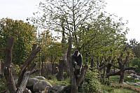 blijdorp 10-09 and extra 003 800x533
