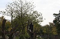 blijdorp 10-09 and extra 006 800x533