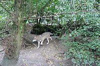 blijdorp 10-09 and extra 009 800x533