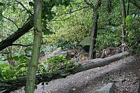 blijdorp 10-09 and extra 013 800x533