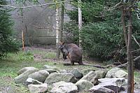 blijdorp 10-09 and extra 042 800x533
