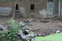 blijdorp 10-09 and extra 046 800x533
