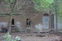 blijdorp 10-09 and extra 050 800x533