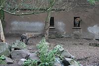 blijdorp 10-09 and extra 051 800x533