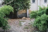 blijdorp 10-09 and extra 054 800x533