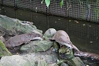 blijdorp 10-09 and extra 061 800x533