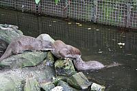 blijdorp 10-09 and extra 062 800x533
