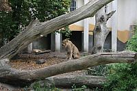 blijdorp 10-09 and extra 072 800x533