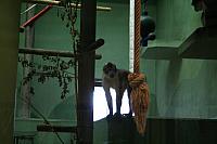 blijdorp 10-09 and extra 083 800x533