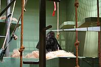 blijdorp 10-09 and extra 085 800x533