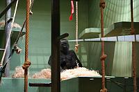 blijdorp 10-09 and extra 086 800x533