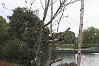 blijdorp 10-09 and extra 098 800x533