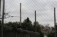 blijdorp 10-09 and extra 099 800x533